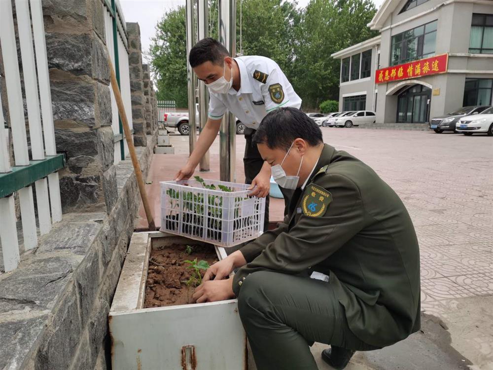 平乡收费站利用废旧铁皮橱来当花盆，来种植尖椒，有效合理运用一切资源，为职工丰富自己的菜园。