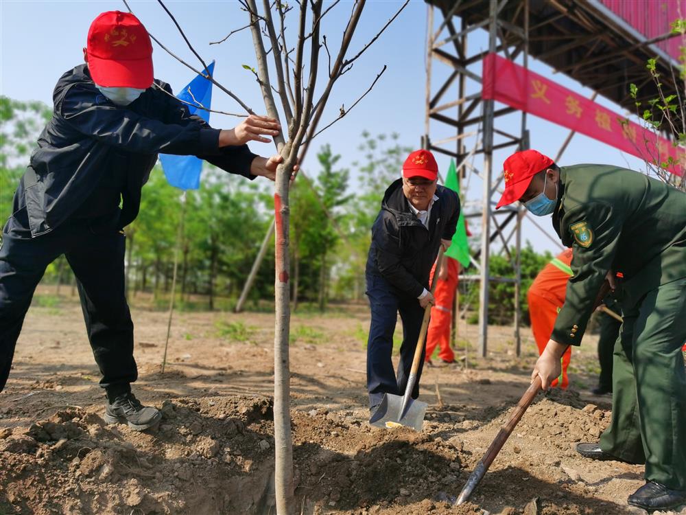 邢临公司组织开展2022年义务植树活动 