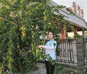快乐采摘