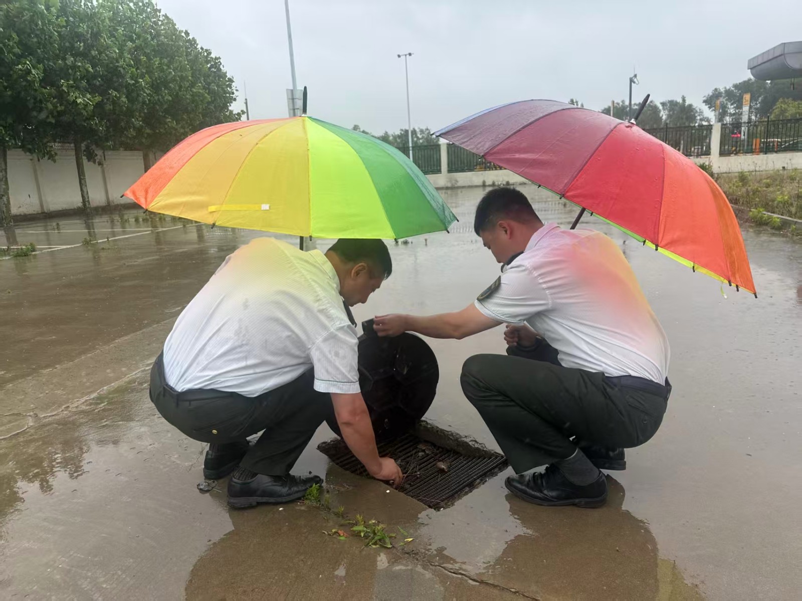 1微信图片_20260525164859_386_137.jpg 1微信图片_20260525164859_386_137.jpg